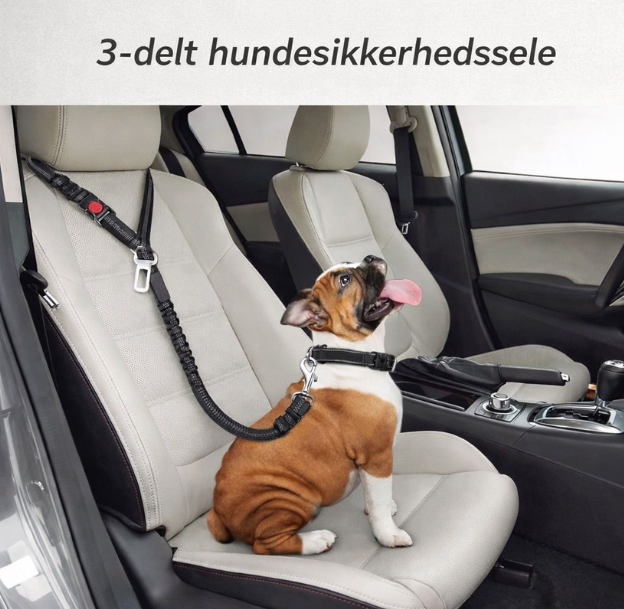 SafeRide™ 3-delt Hundesikkerhedssele til Bil
