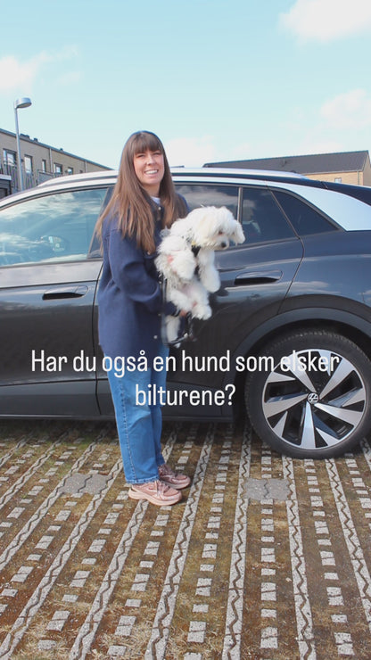 Premium Hundetæppe til Bil – Vandtæt, Slidstærkt & Skridsikkert